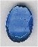 Oval Cabochon - click here for large view